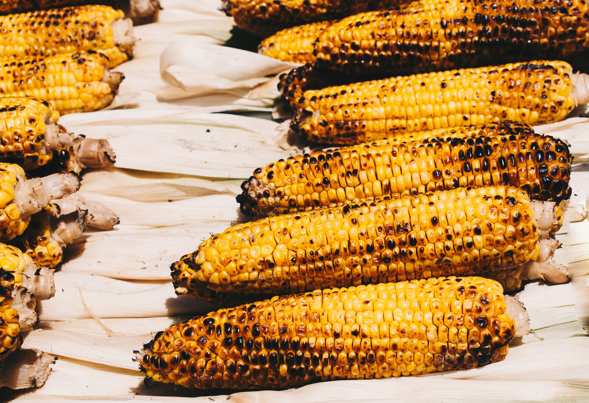 Holiday Grilled Corn and Cheddar Quinoa – American Made Grills