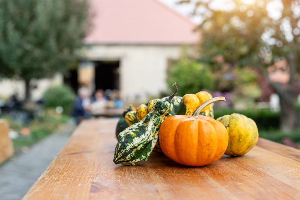 Get Ready for Holiday Feasts: Prep Your Outdoor Kitchen with American Made Grills