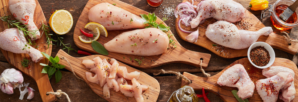 Grilling 101: The Basics of Grilling Chicken